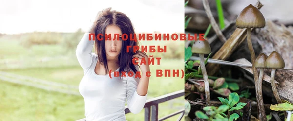 гашишное масло Алзамай