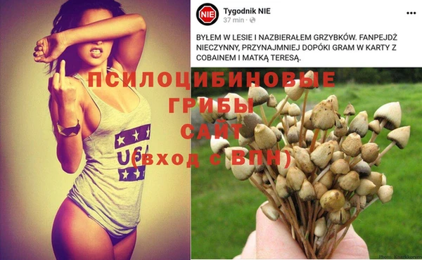 гашишное масло Алзамай